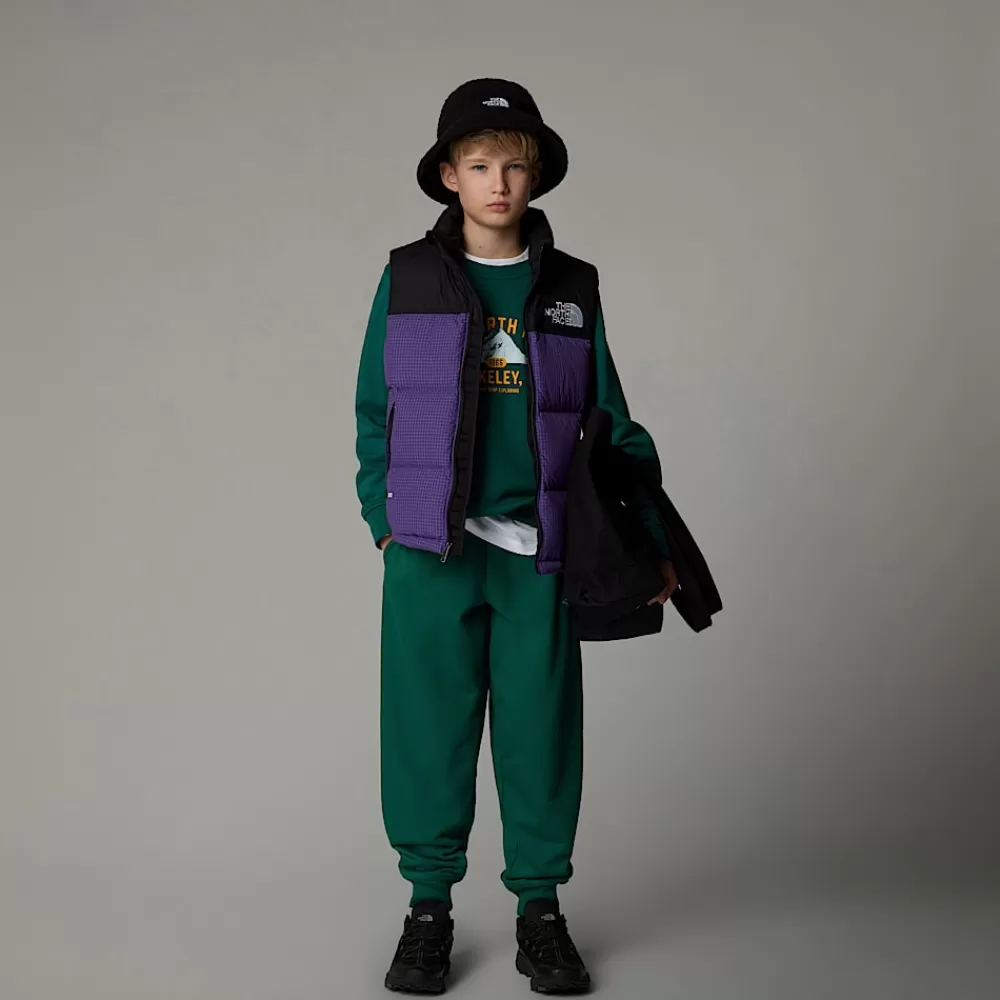 Shop The North Face Młodzieżowy Bezrękawnik 1996 Retro Nuptse Peak Purple-Ripstop